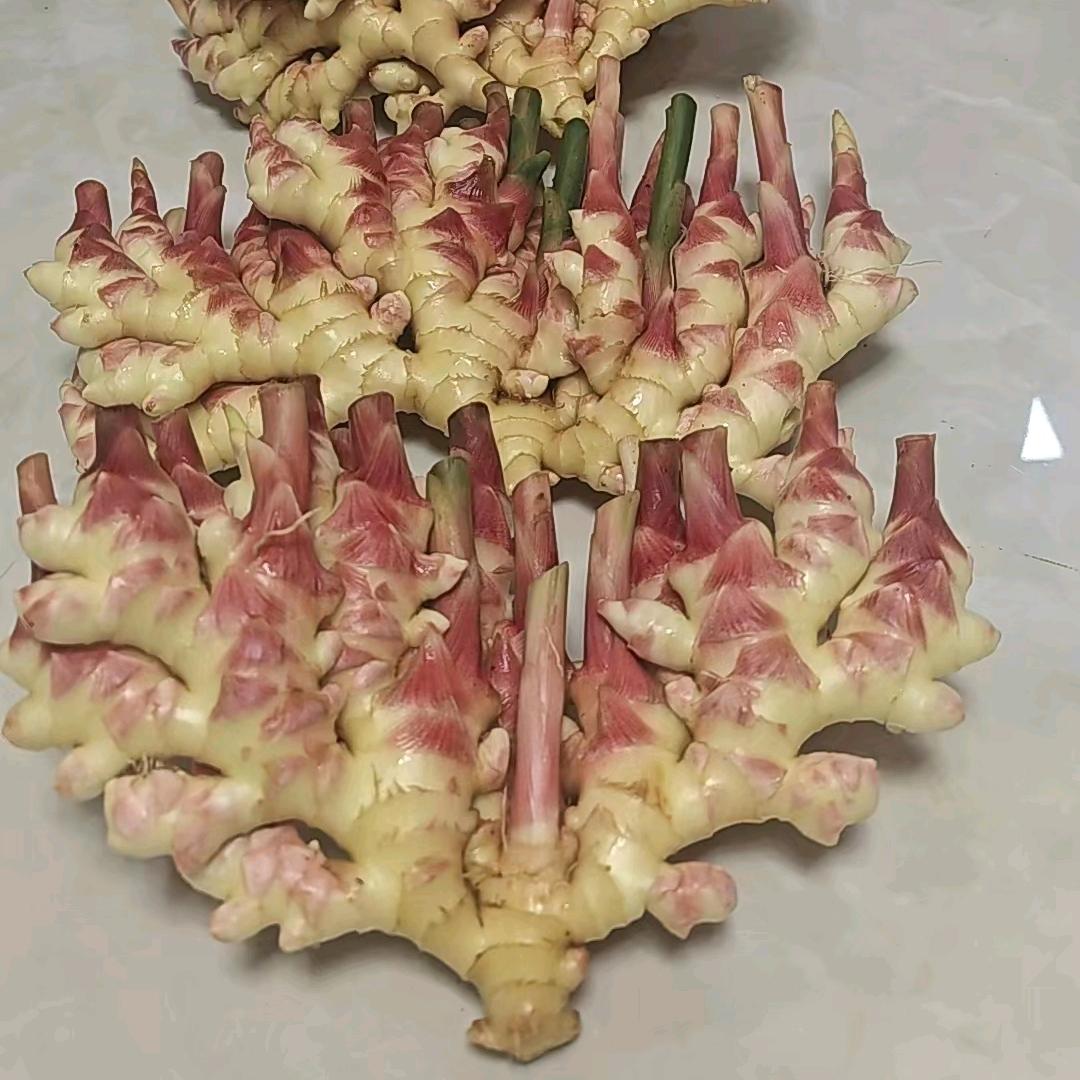 终姜问鼎（啊奎）