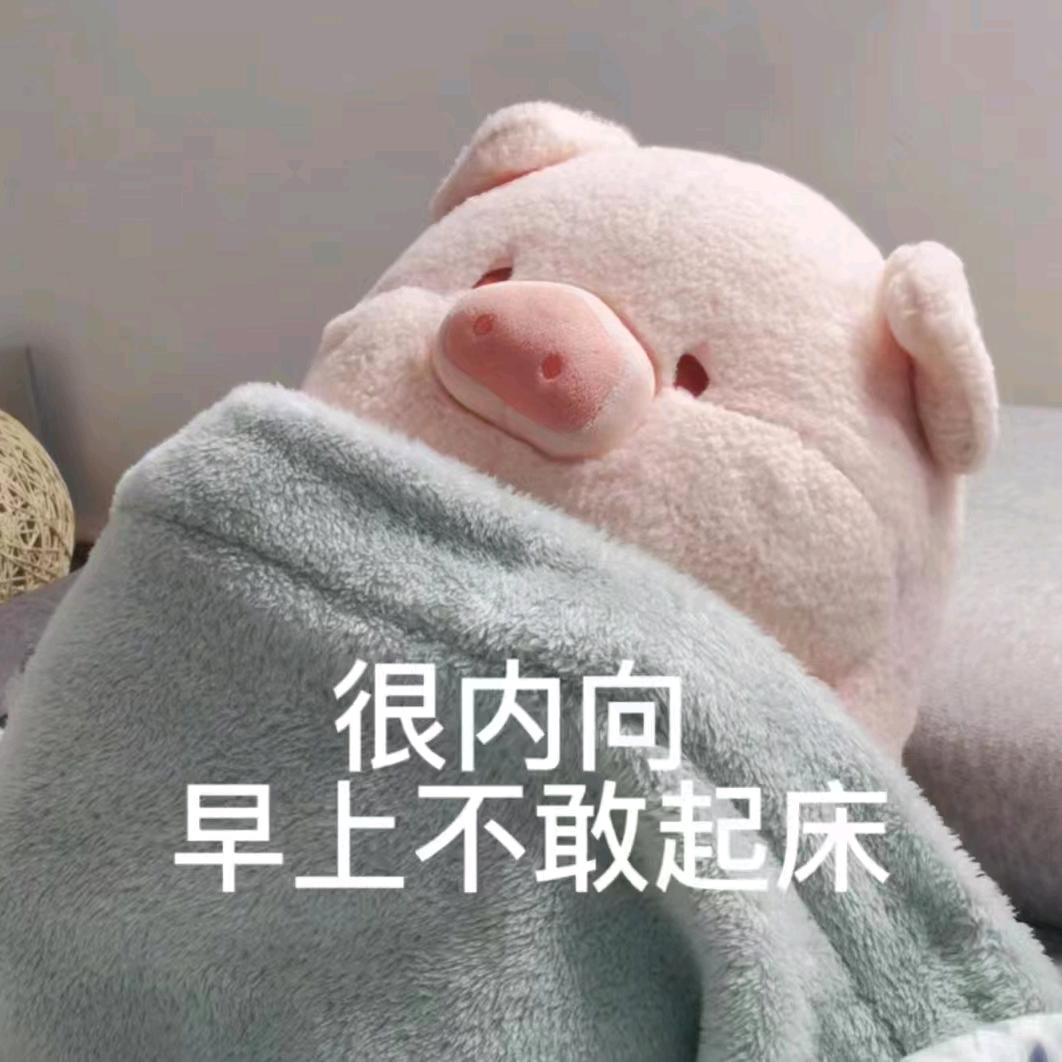玩具家与读书仔