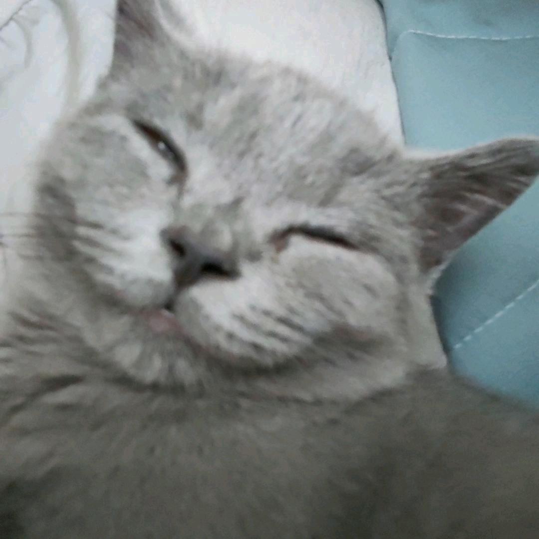 .不爱吃鱼