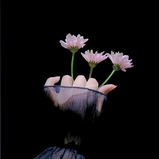 梁河大地通讯（卖手机、装宽带、修手机