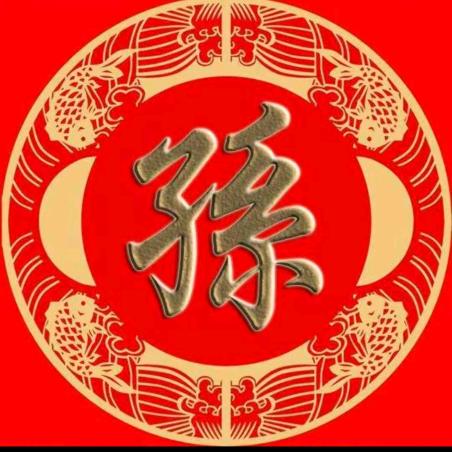 孙伟（寻根问祖）