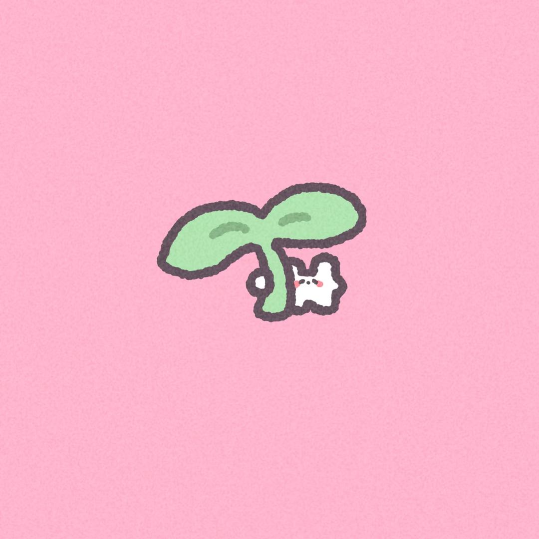 小芽🌱
