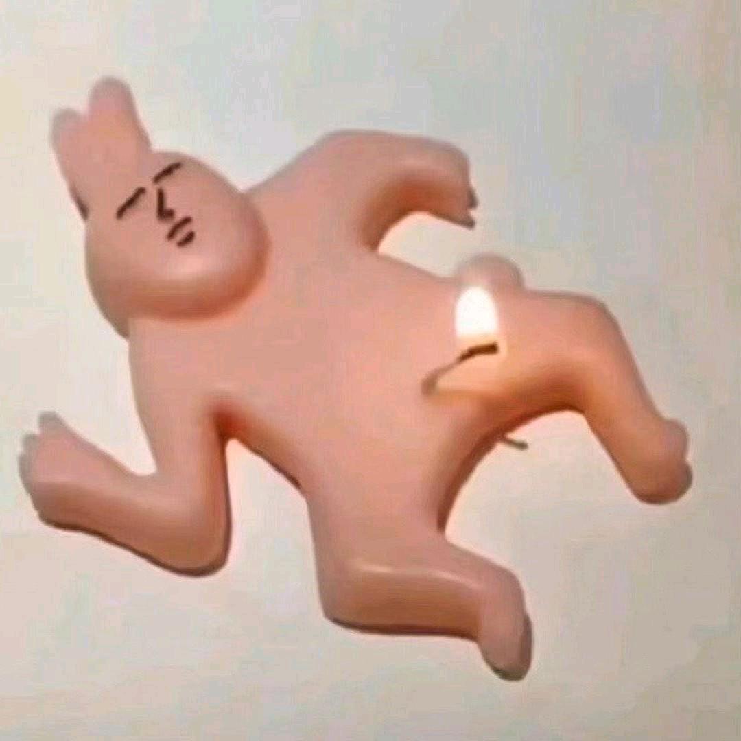 讨厌西红柿和番茄