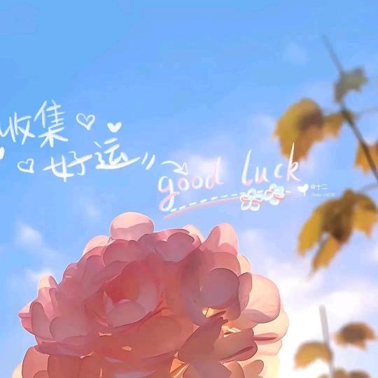 芙晰