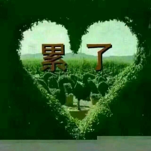 心灰意冷💔