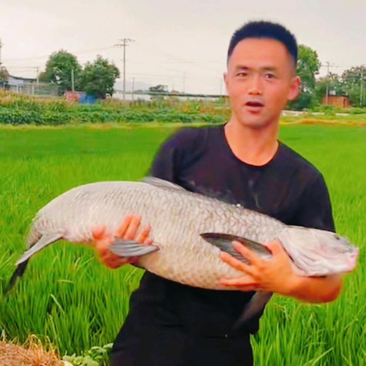 钓鱼小哥哥