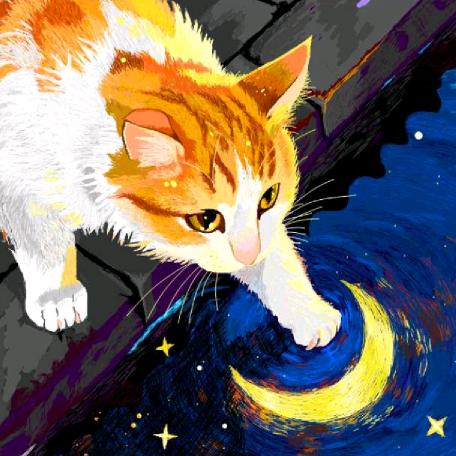 流浪的猫