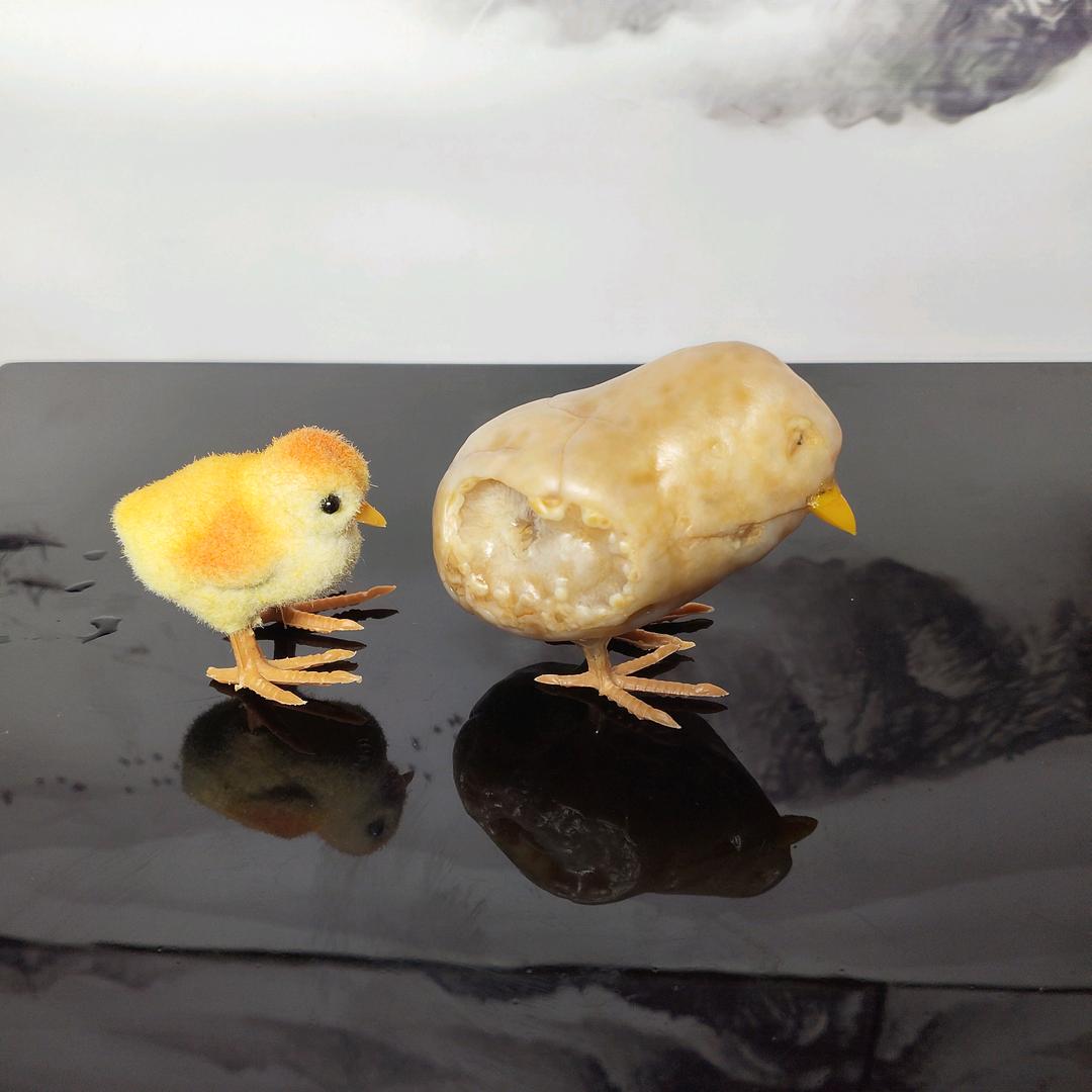 赏石悦目奇石馆