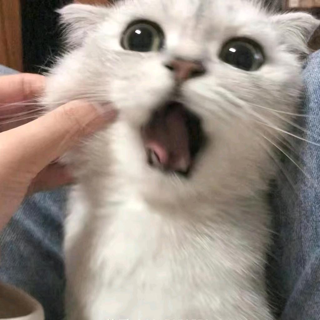 江辞，