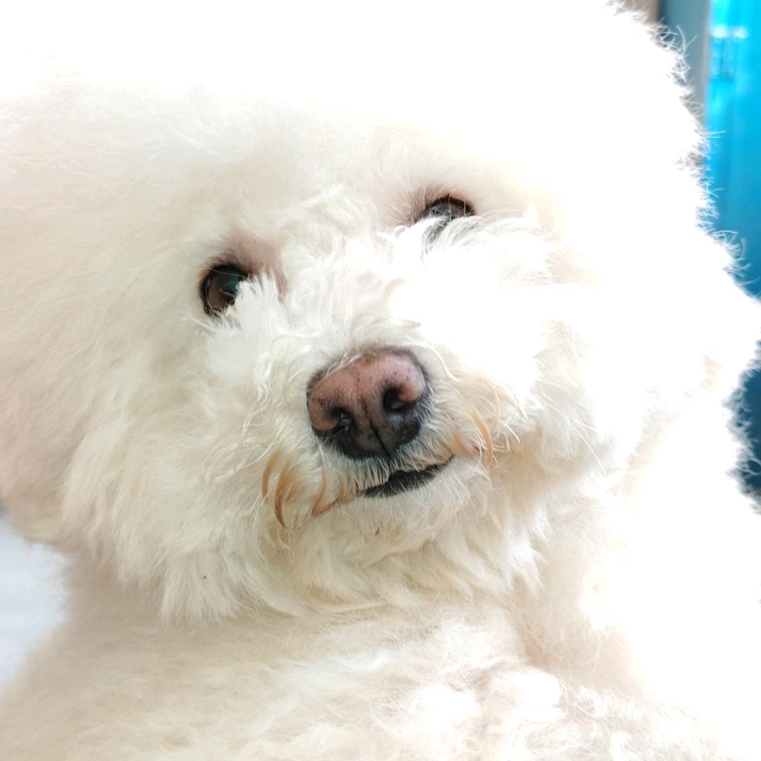 程 lolm（中单）