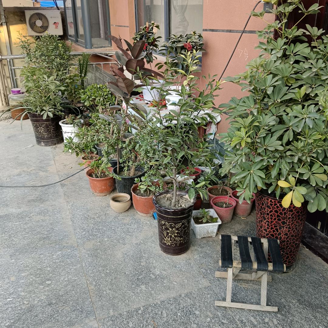 心想事成
