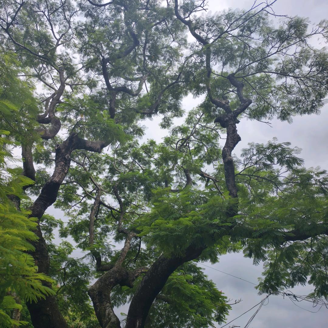 如鱼得水