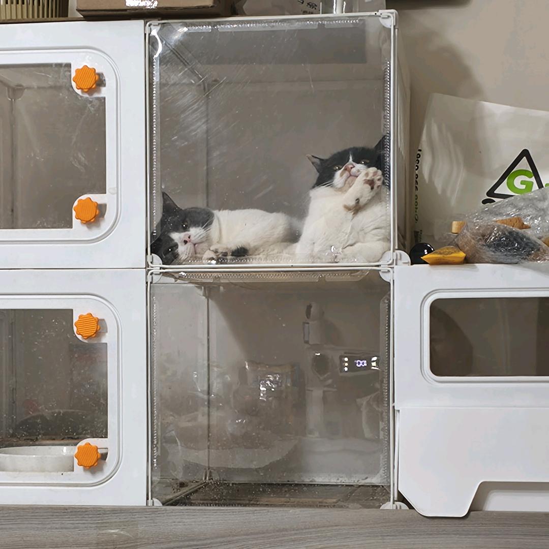 对方拍了拍你并喊了一声亲爱的爷爷👴