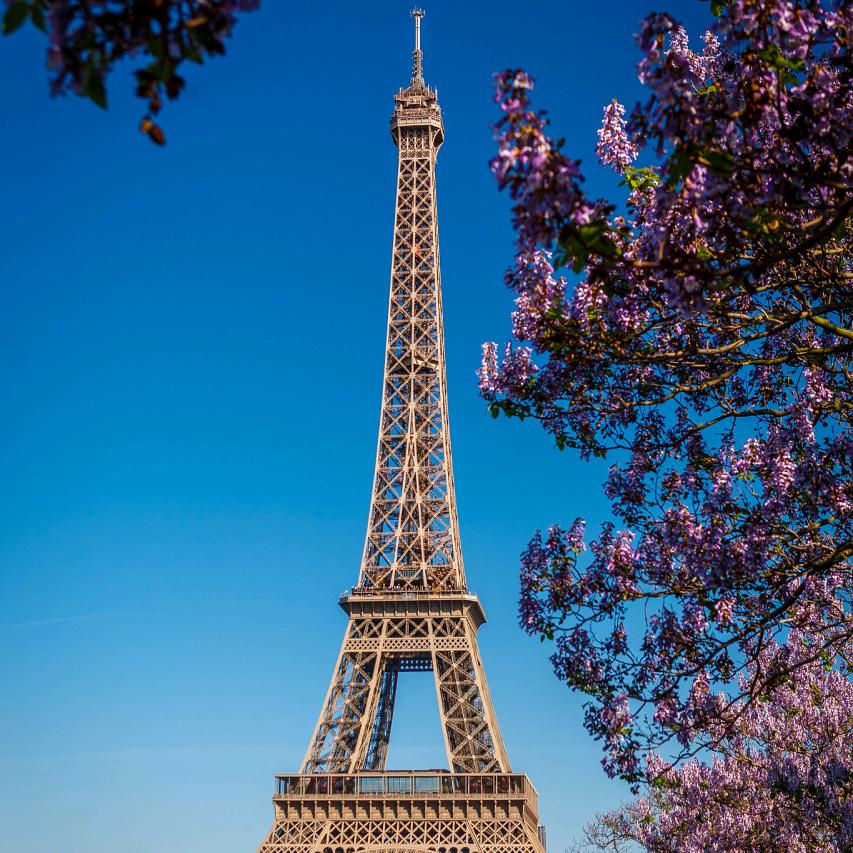 ✨✨满天星辰✨✨