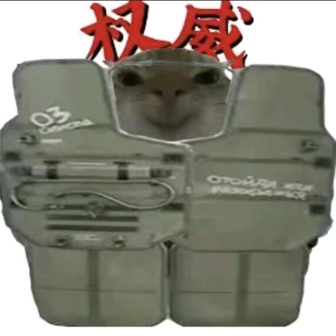 𝑳𝒐𝒏𝒌𝒆不会飞（鼠）（停更）