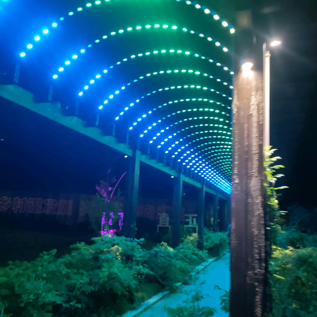 港湾