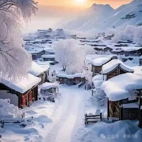 风里雨里，我在哈尔滨等你