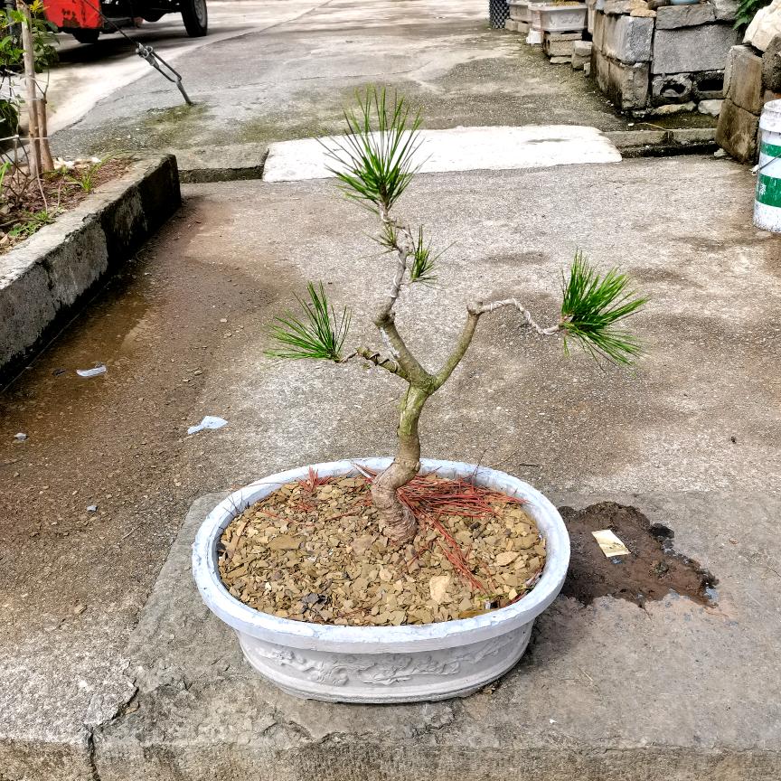移花接木