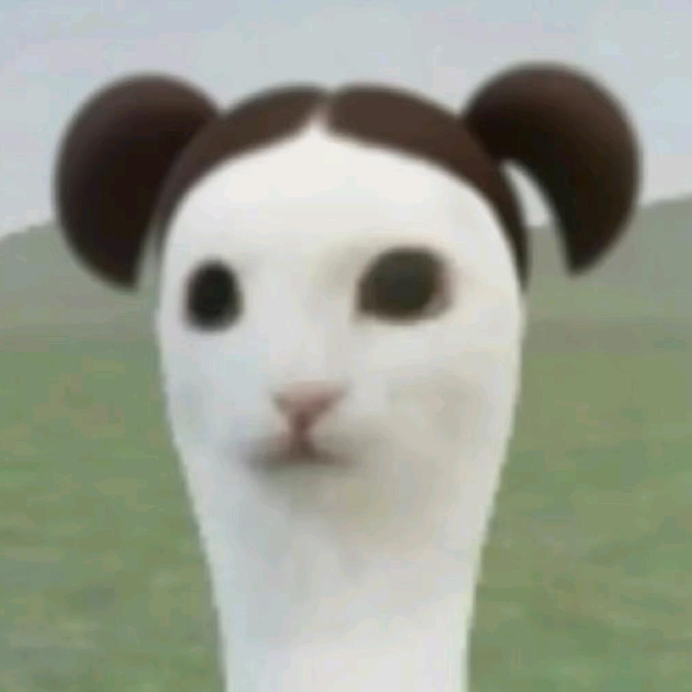 meme