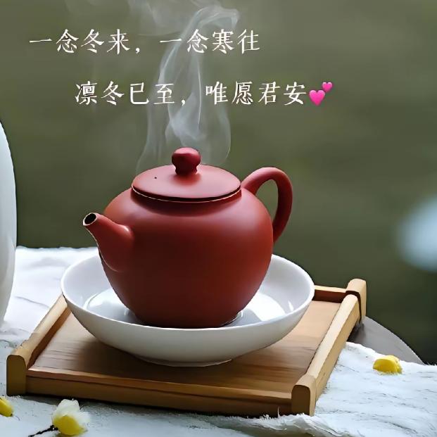 我家宝贝是晴儿