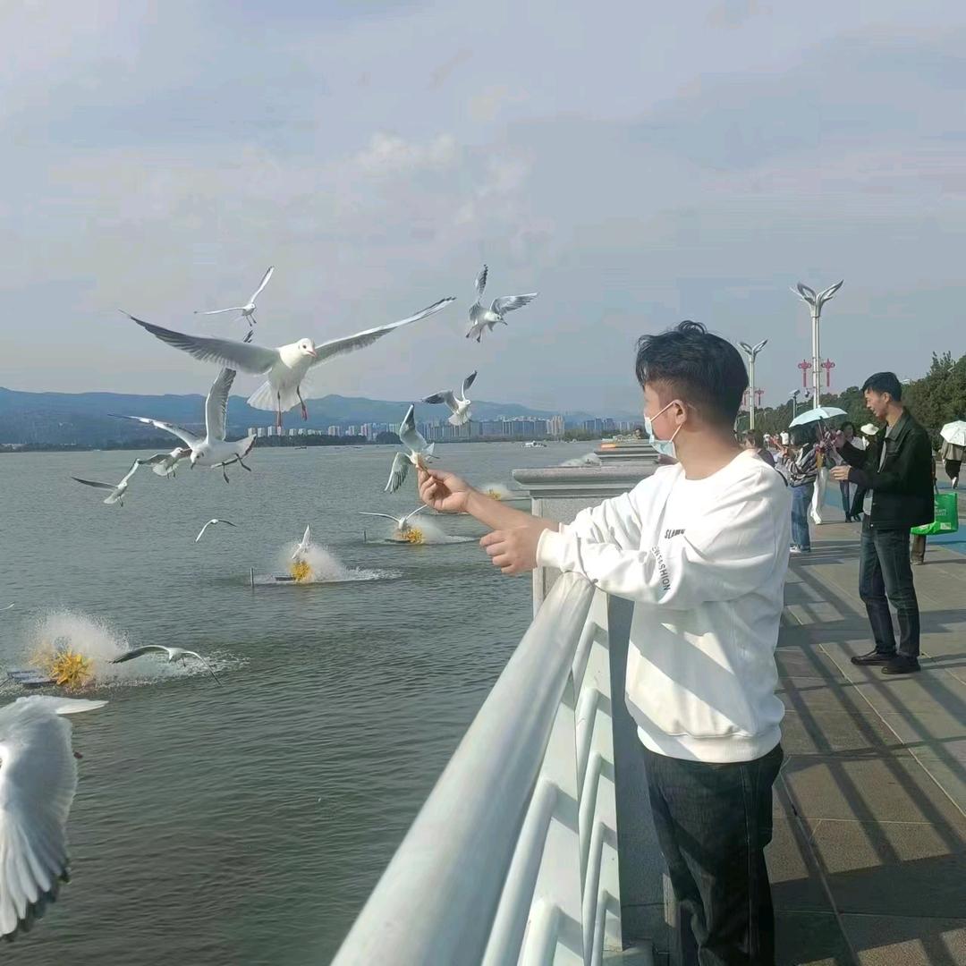 欧耶