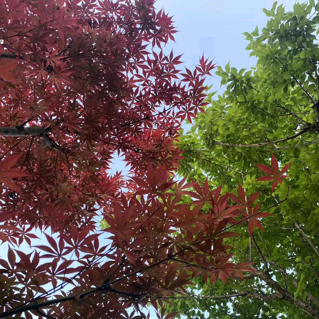 嘿嘿嘿嘿嘿嘿