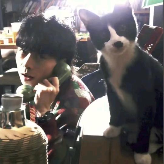 天空闪过灿烂花火