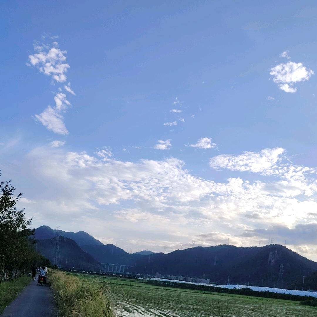 悲喜自渡。