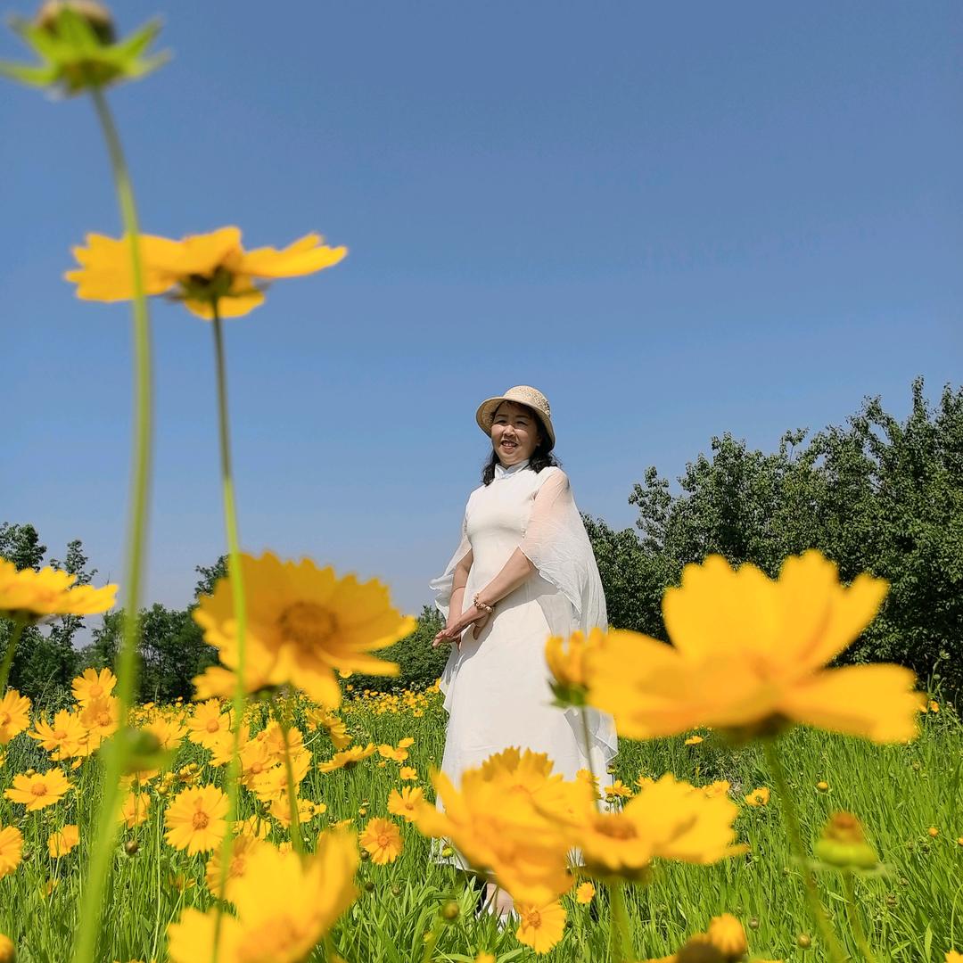 玉玲珑