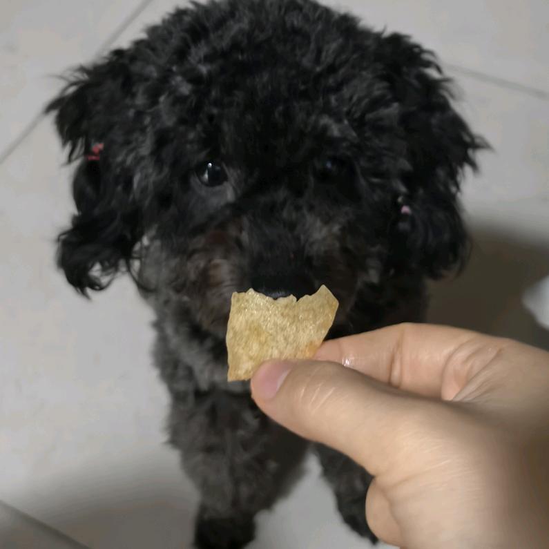 馨馨爱到锅炸了