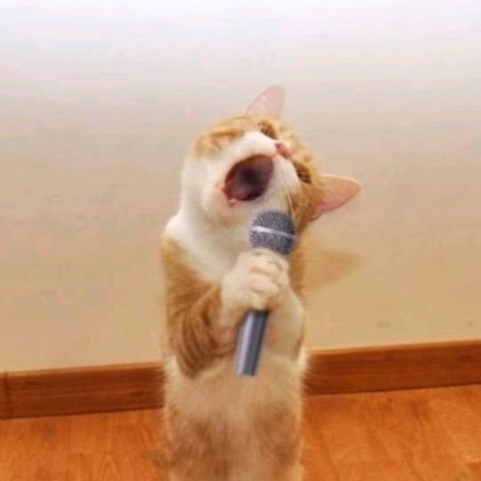 lychee_.(急需休假😪版)🙏?