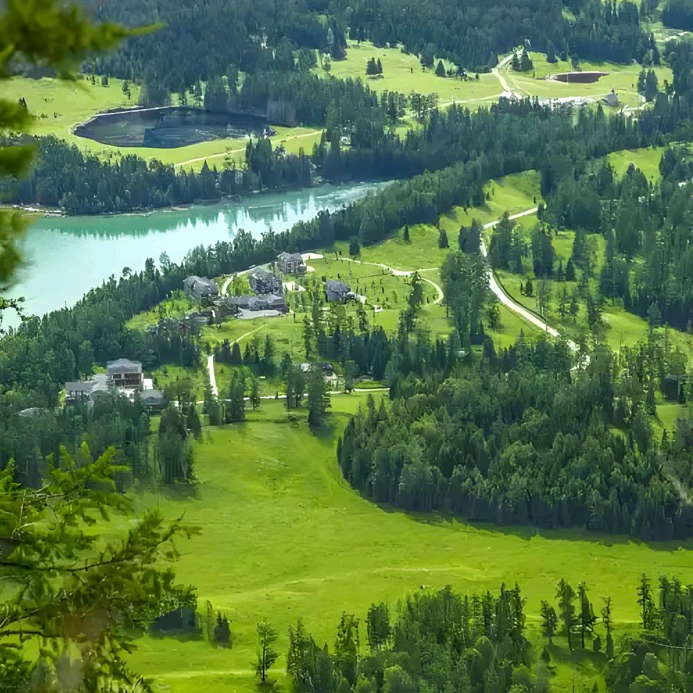芝麻姐,主页更多精彩
