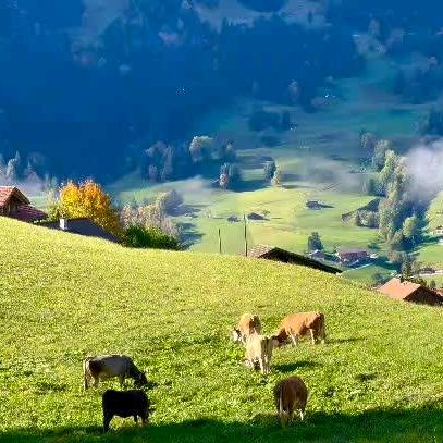 🚬ಇ᭄浮生࿆ྃ醉清风࿐
