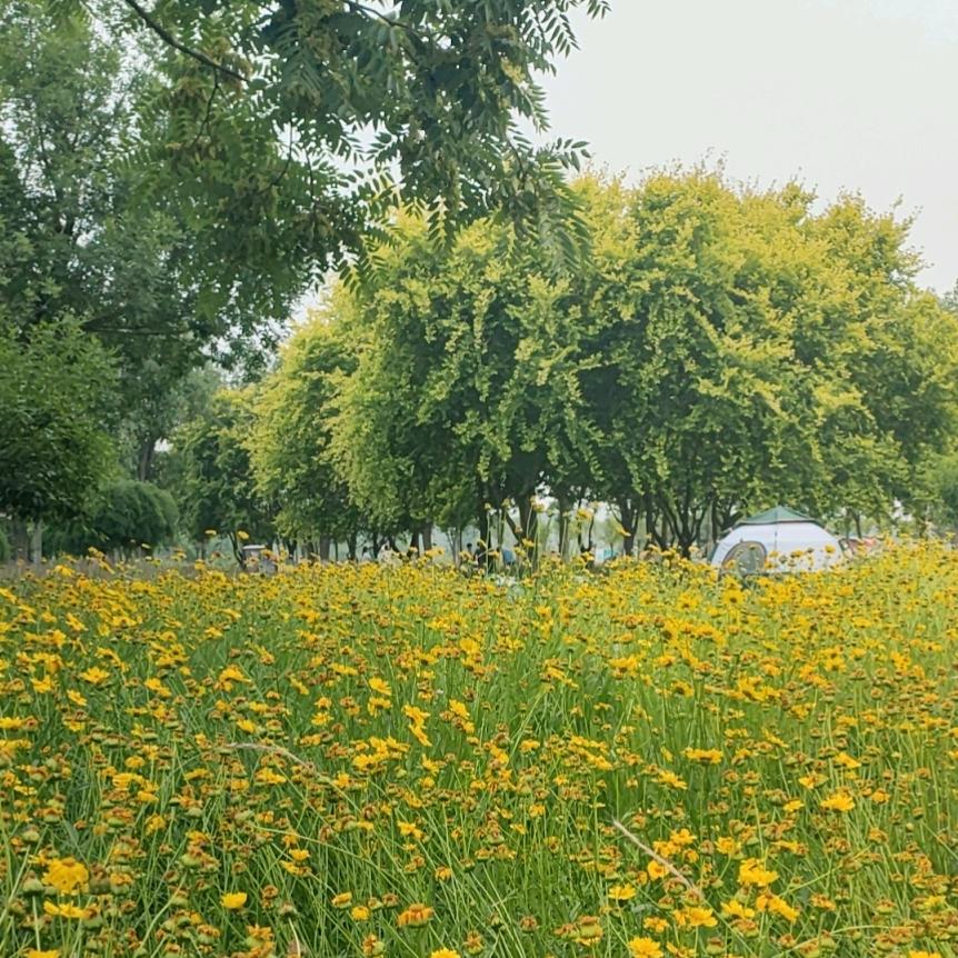老张爱溜达🚴🏻‍♀️
