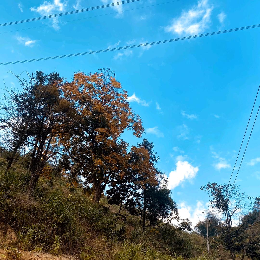 吊车出租，光伏配送专业团队