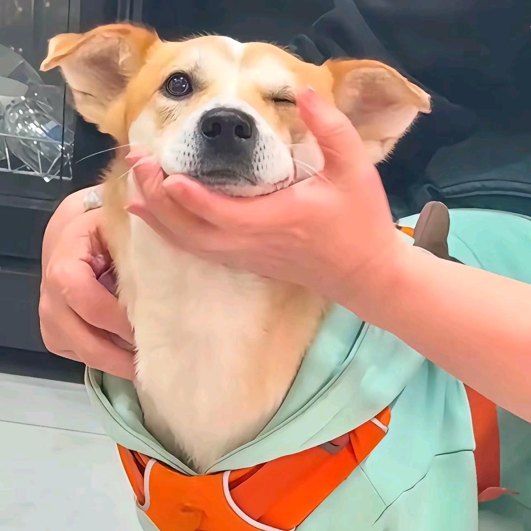 Tʜᴇ ғᴜᴛᴜʀᴇ .纵荣