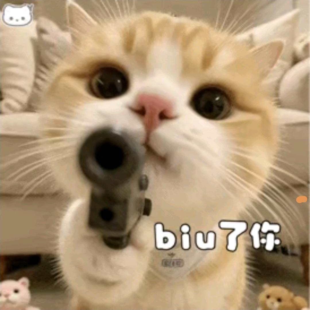 🌈🌈biubiu🌈🌈