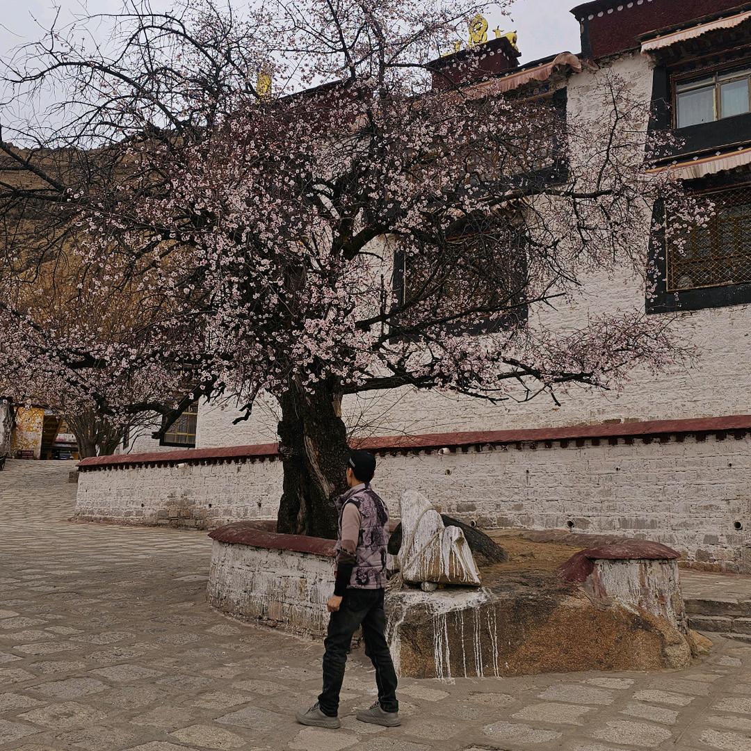 三方