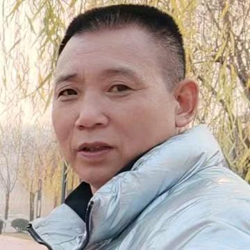 鑫(锅)情感在线