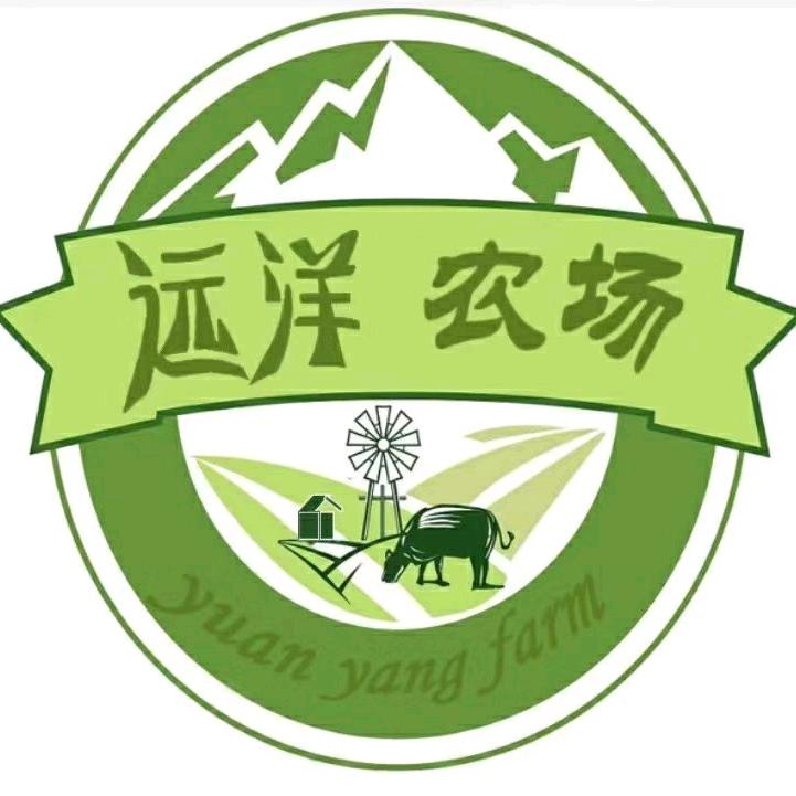 太湖县远洋家庭农场