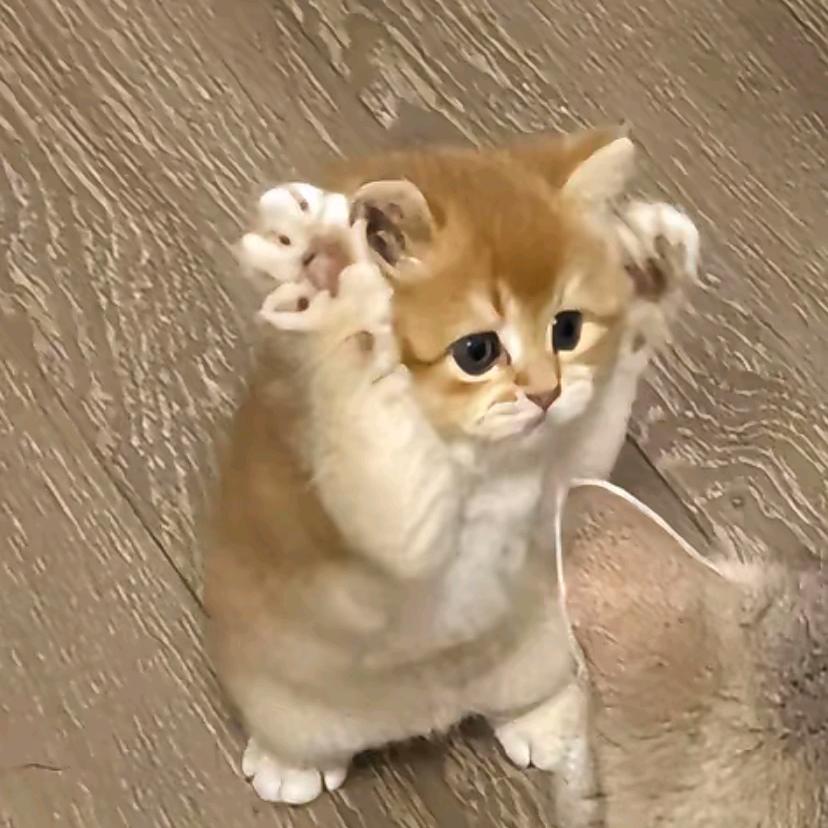 666666