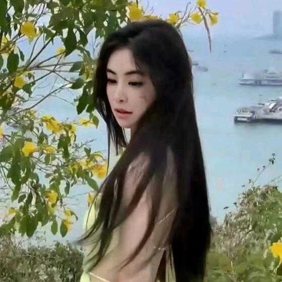 静静⁵²⁰¹