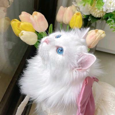 七月的❤️星星⭐