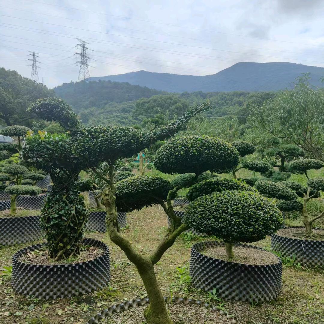 独沉（本人唯一帐号）
