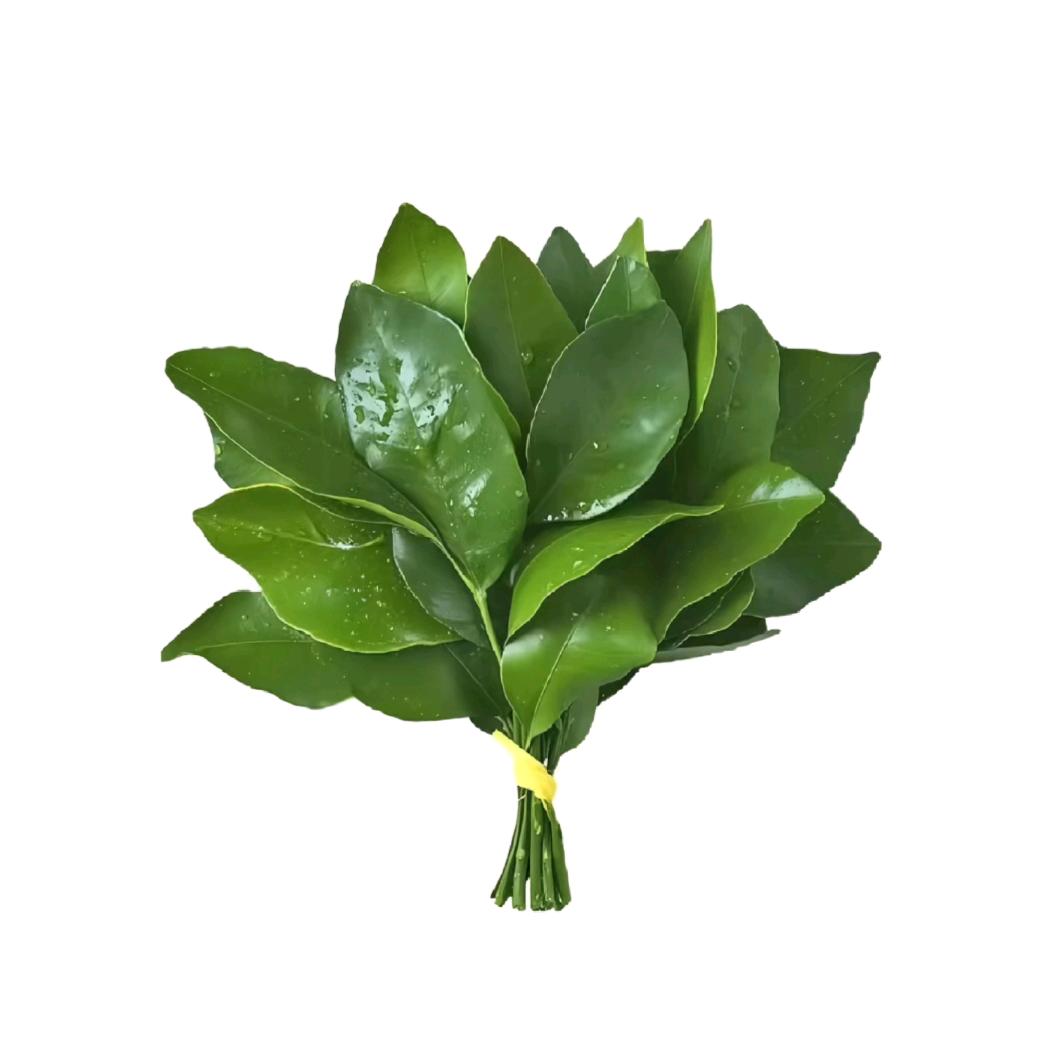 小 白