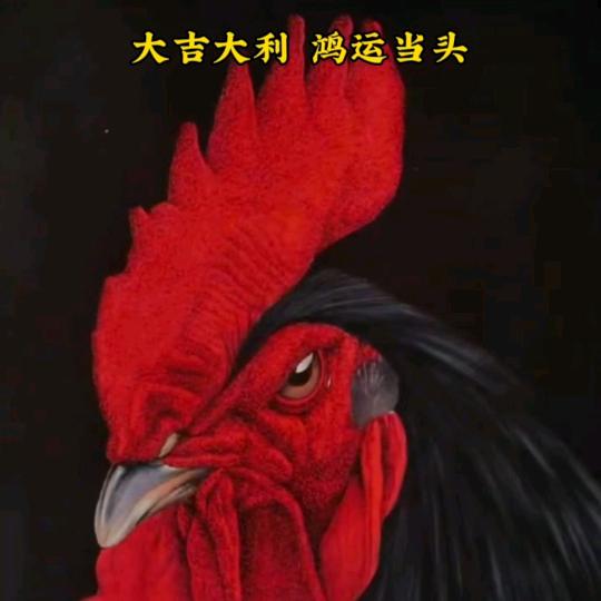 RR116988！兵哥:风生水起