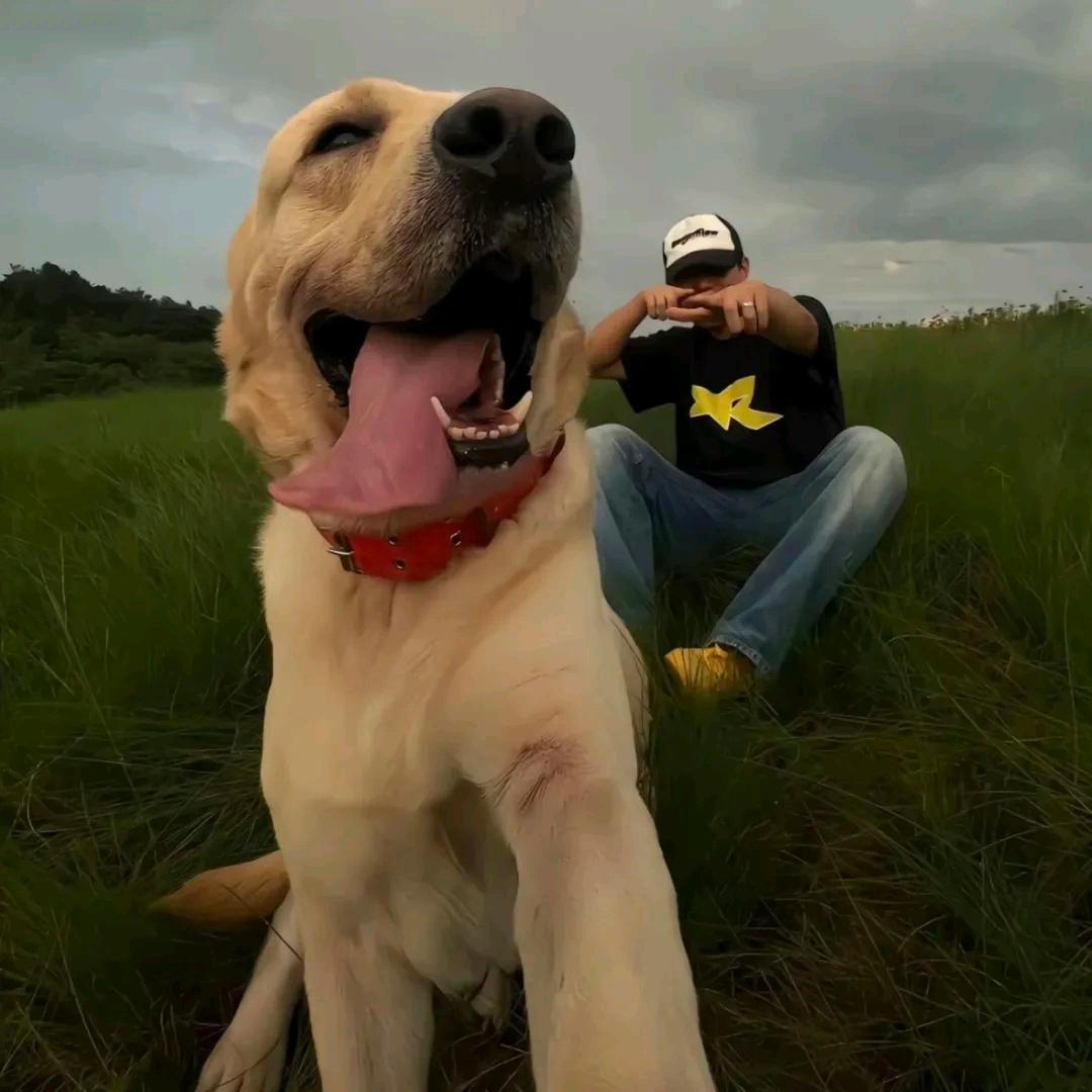 四川Pig儿.厂🐷