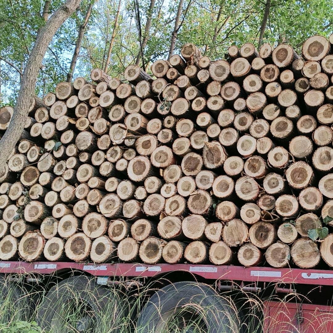 惠林木业(阜南人在固始)