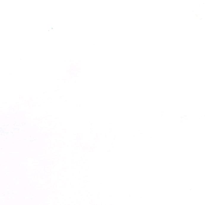 骑着蜗牛闯天涯