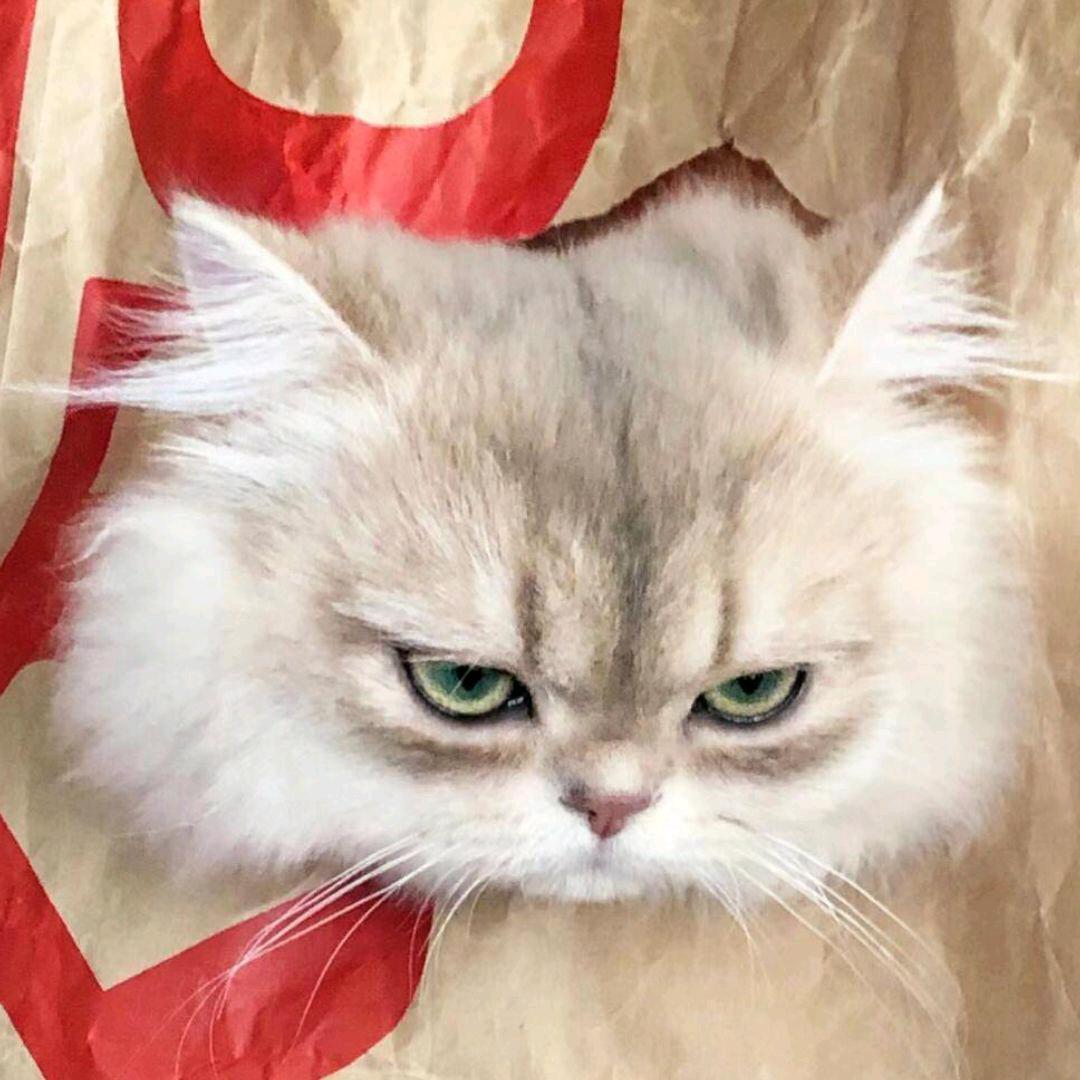 零一